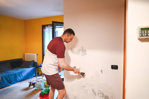 Best Post-Flood Mold Remediation in Graham, NC